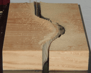 Bandsaw demonstration on yellow pine