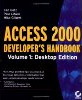 Access 2000 developer